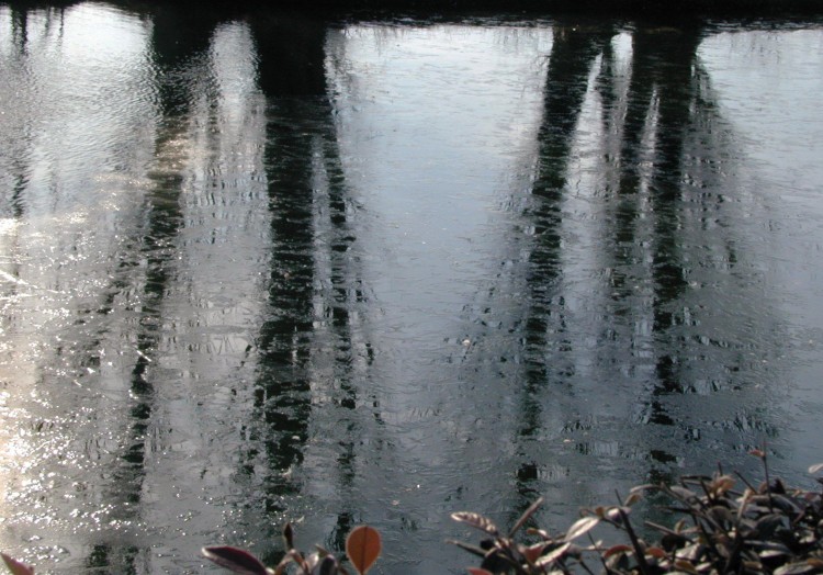 Wallpapers Nature Water - Reflection Reflets