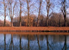 Fonds d'cran Nature Reflets