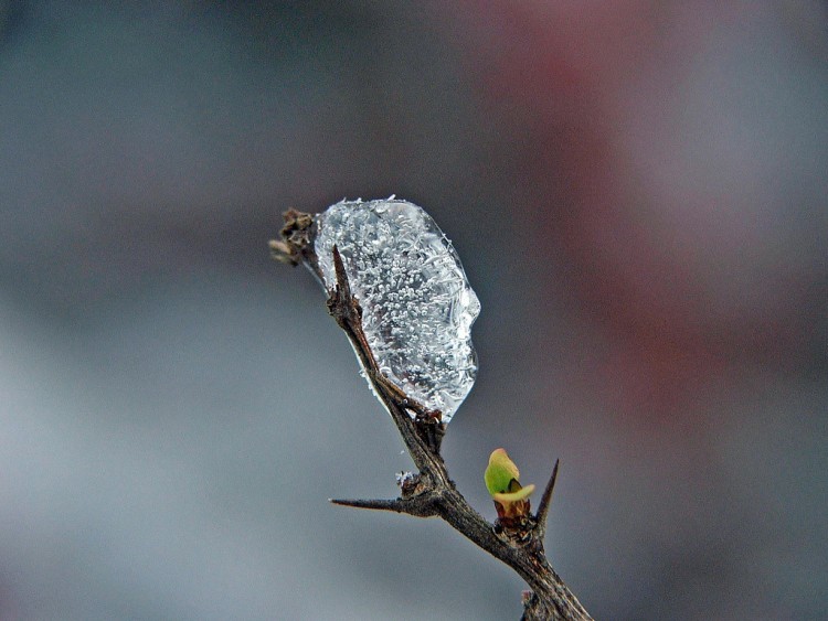 Fonds d'cran Nature Saisons - Hiver Saison d'hiver