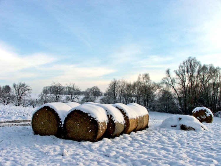 Wallpapers Nature Saisons - Winter Saison d'hiver