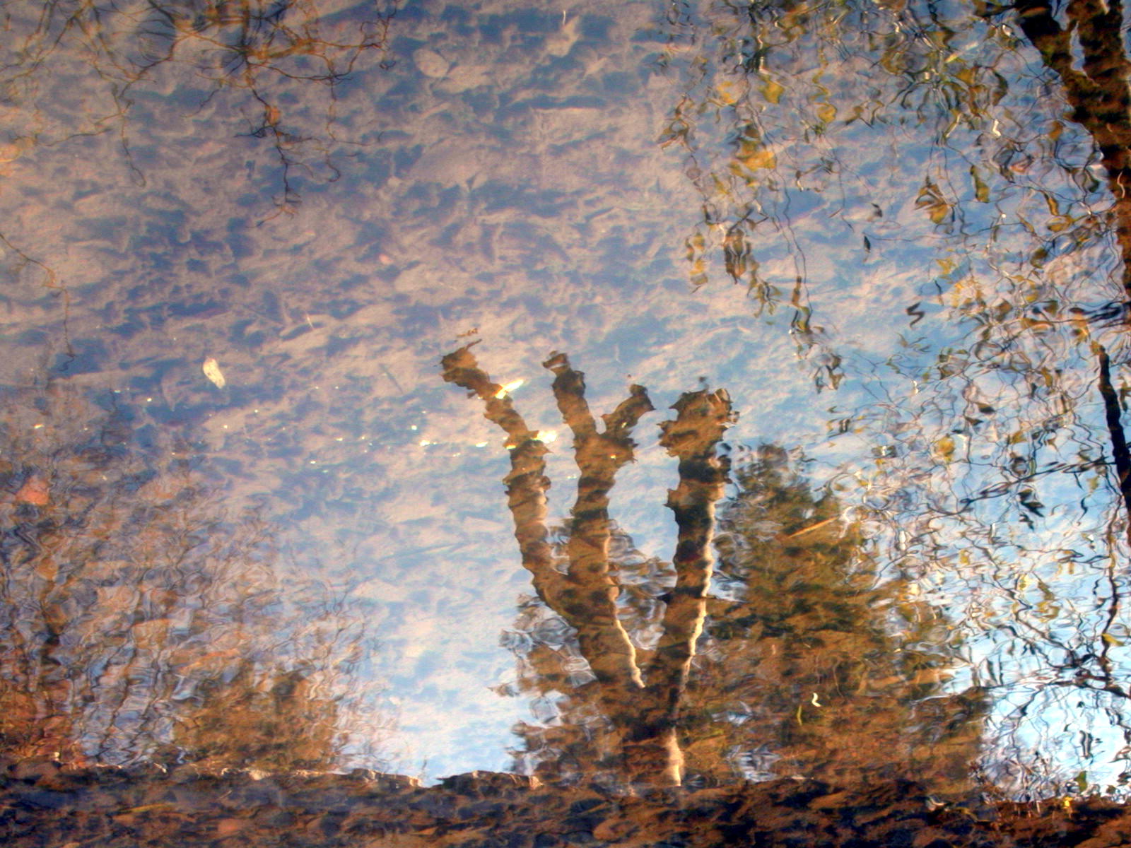 Wallpapers Nature Water - Reflection Reflets