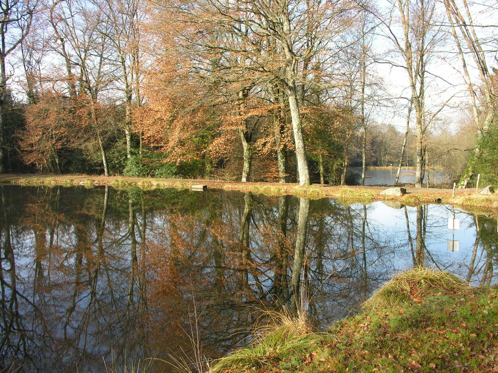 Fonds d'cran Nature Couchers et levers de Soleil 