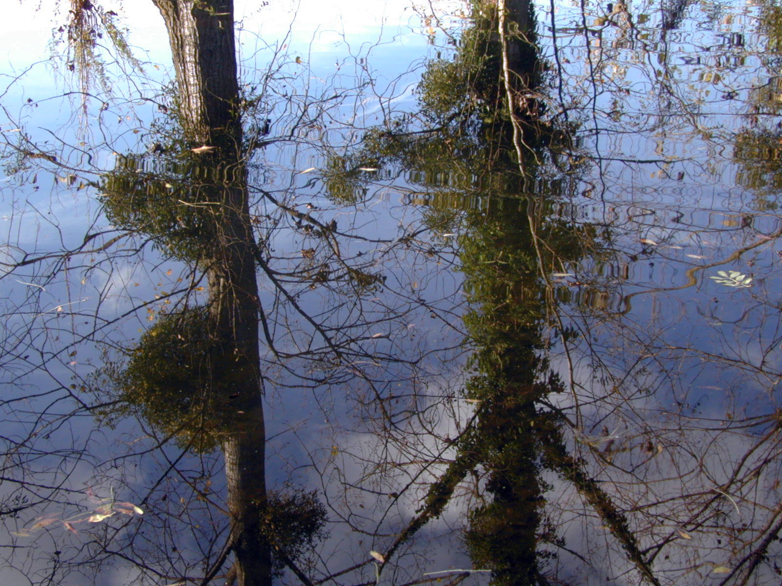 Wallpapers Nature Water - Reflection Reflets