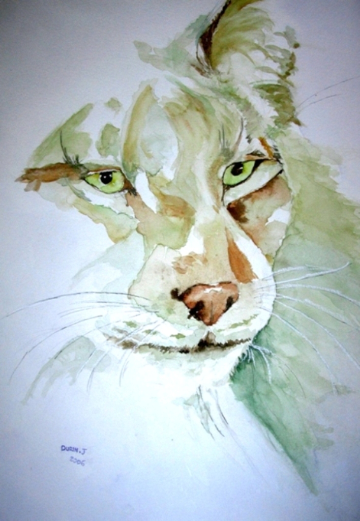 Wallpapers Art - Painting Animals regard prdateur