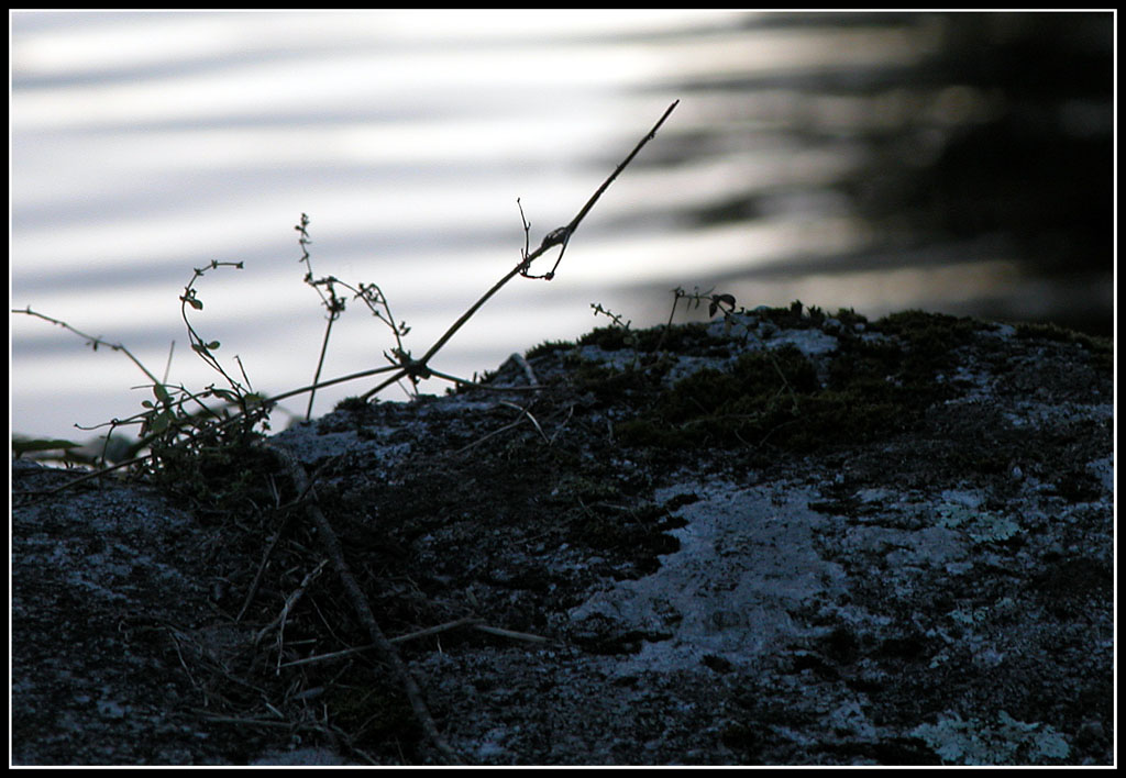 Fonds d'cran Nature Divers - Compositions Froideur