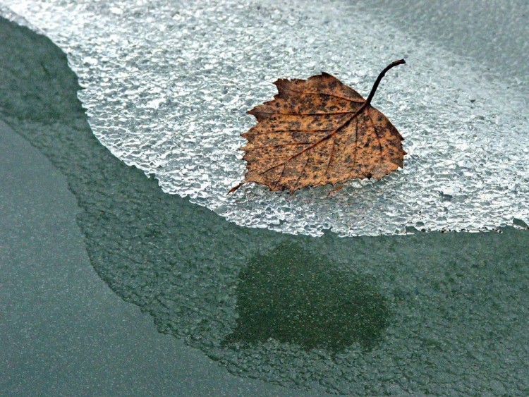 Fonds d'cran Nature Saisons - Hiver Saison d'hiver