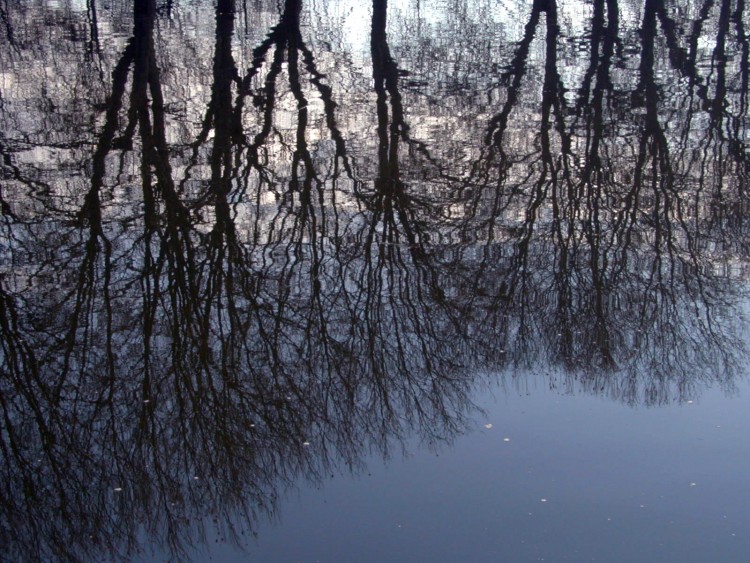 Wallpapers Nature Water - Reflection Reflets