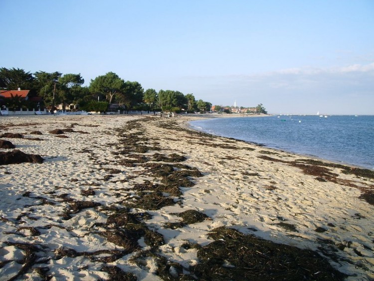 Wallpapers Nature Seas - Oceans - Beaches Plage au Cap Ferret