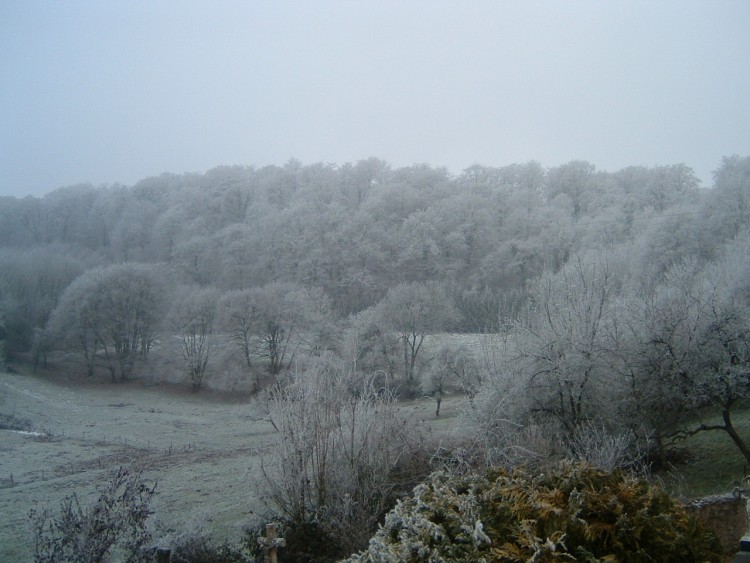 Wallpapers Nature Saisons - Winter arbres givrs