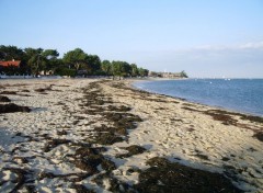 Fonds d'cran Nature Plage au Cap Ferret