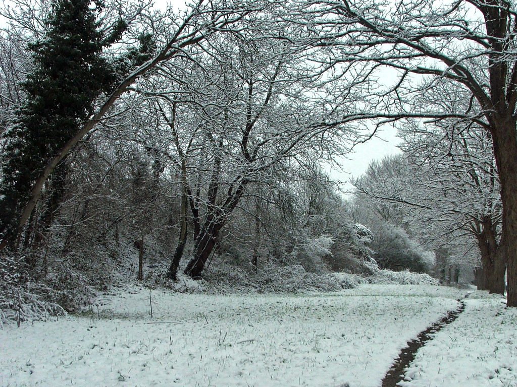 Fonds d'cran Nature Saisons - Hiver Saison d'hiver