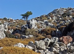 Fonds d'cran Voyages : Europe Ile de Karpathos (Grce)