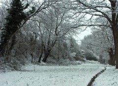 Fonds d'cran Nature Saison d'hiver