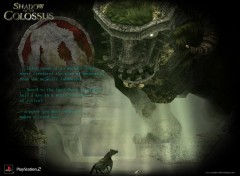 Fonds d'cran Jeux Vido Shadow Of The Colossus