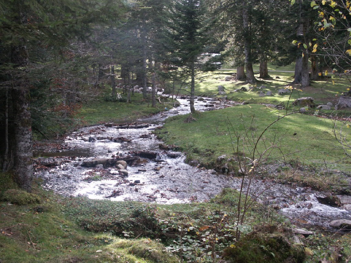 Fonds d'cran Nature Fleuves - Rivires - Torrents 