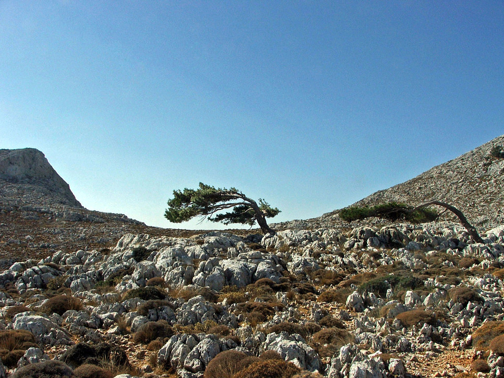 Fonds d'cran Voyages : Europe Grce Ile de Karpathos (Grce)