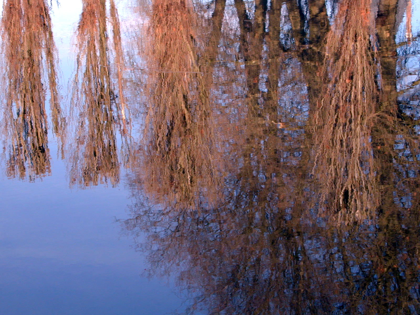 Wallpapers Nature Water - Reflection Reflets