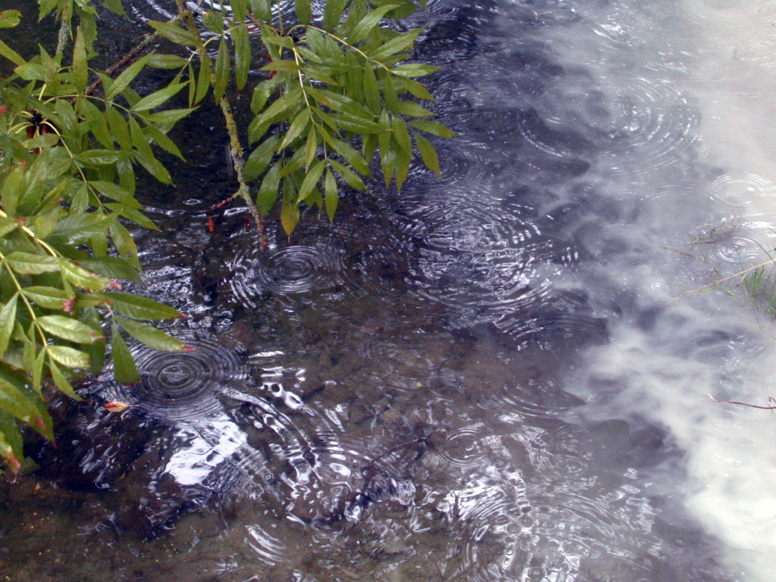 Wallpapers Nature Water - Reflection Reflets