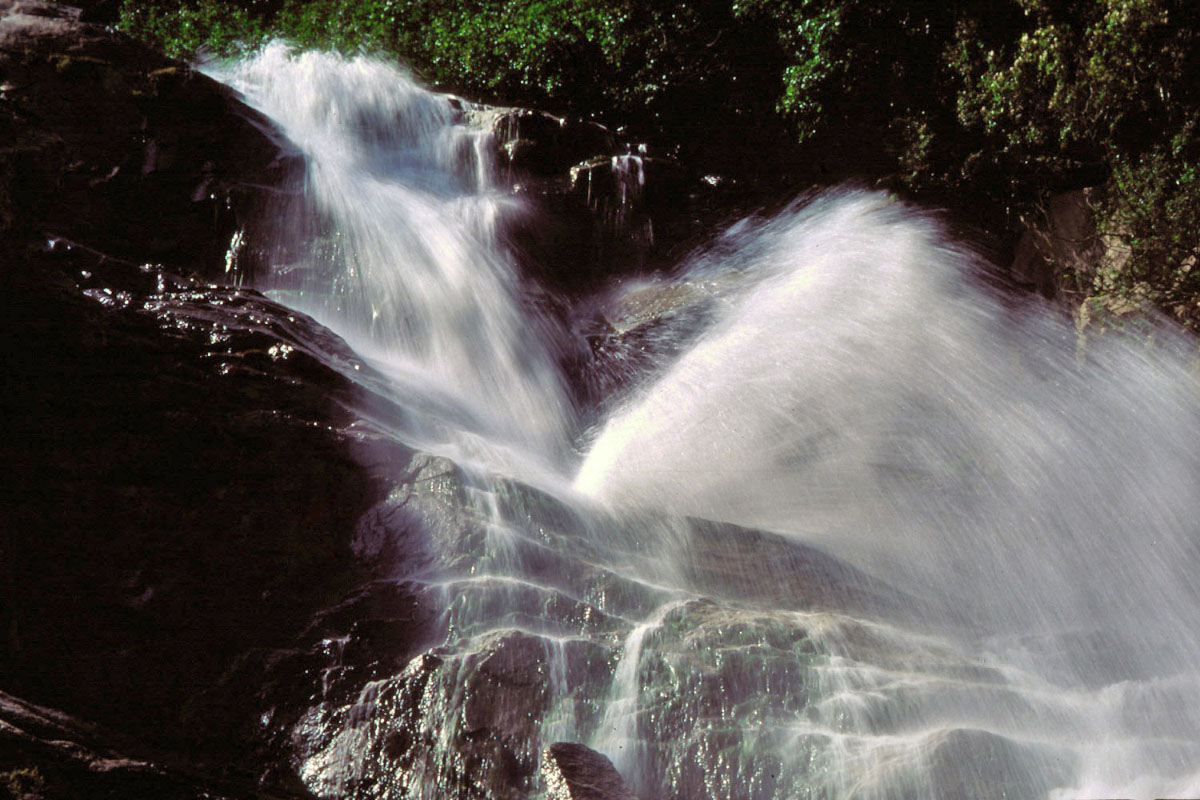 Wallpapers Nature Rivers - Torrents L'eau qui chante