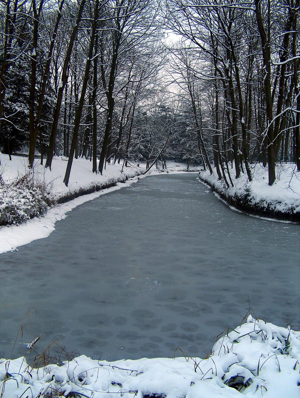 Wallpapers Trips : Europ France > Rhne-Alpes L'hiver  Lyon.