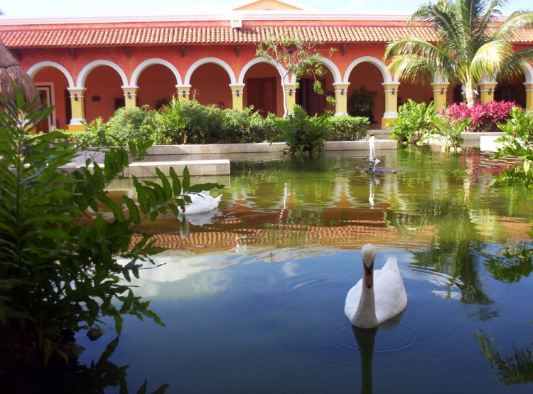 Fonds d'cran Nature Parcs - Jardins Bassin dans l'hotel au mexique