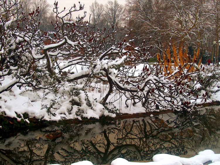 Fonds d'cran Nature Arbres - Forts La neige sur Lyon 1