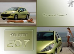 Fonds d'cran Voitures Peugeot 207