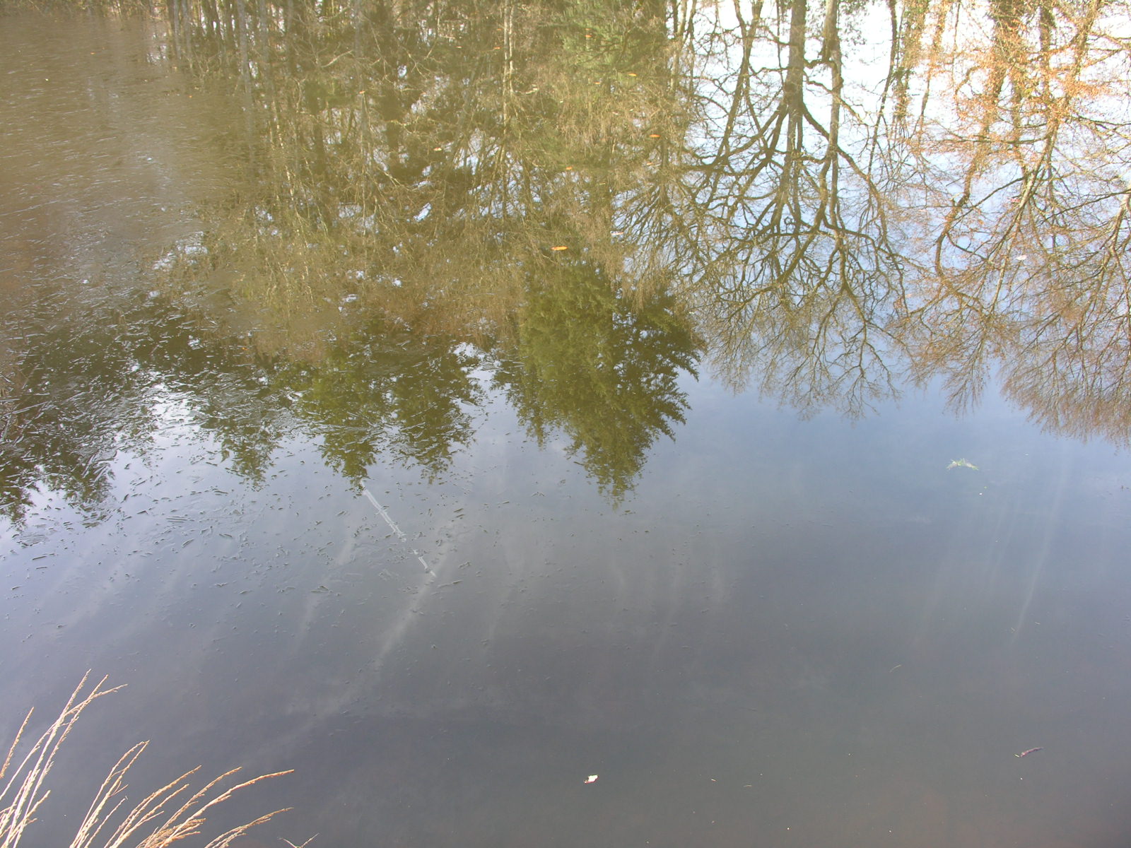 Fonds d'cran Nature Eau - Reflets 