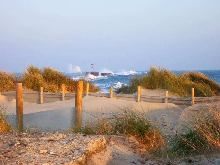 Fonds d'cran Nature Mers - Ocans - Plages plage de collignon