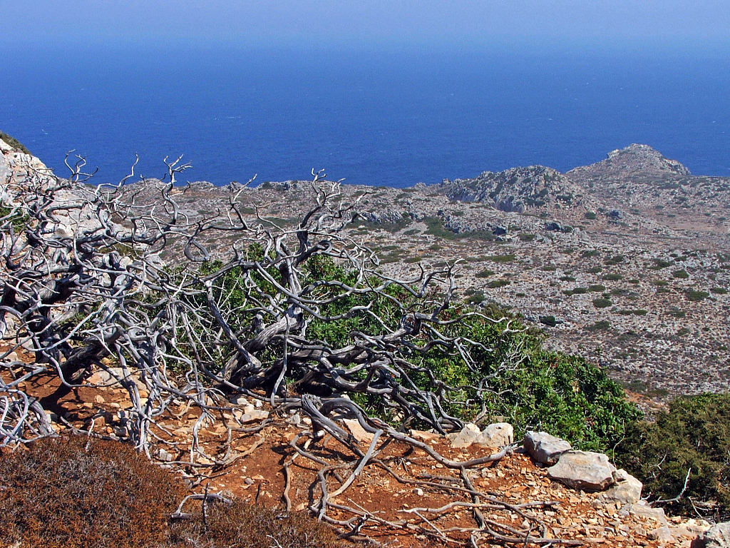 Fonds d'cran Voyages : Europe Grce Ile de Karpathos (Grce)