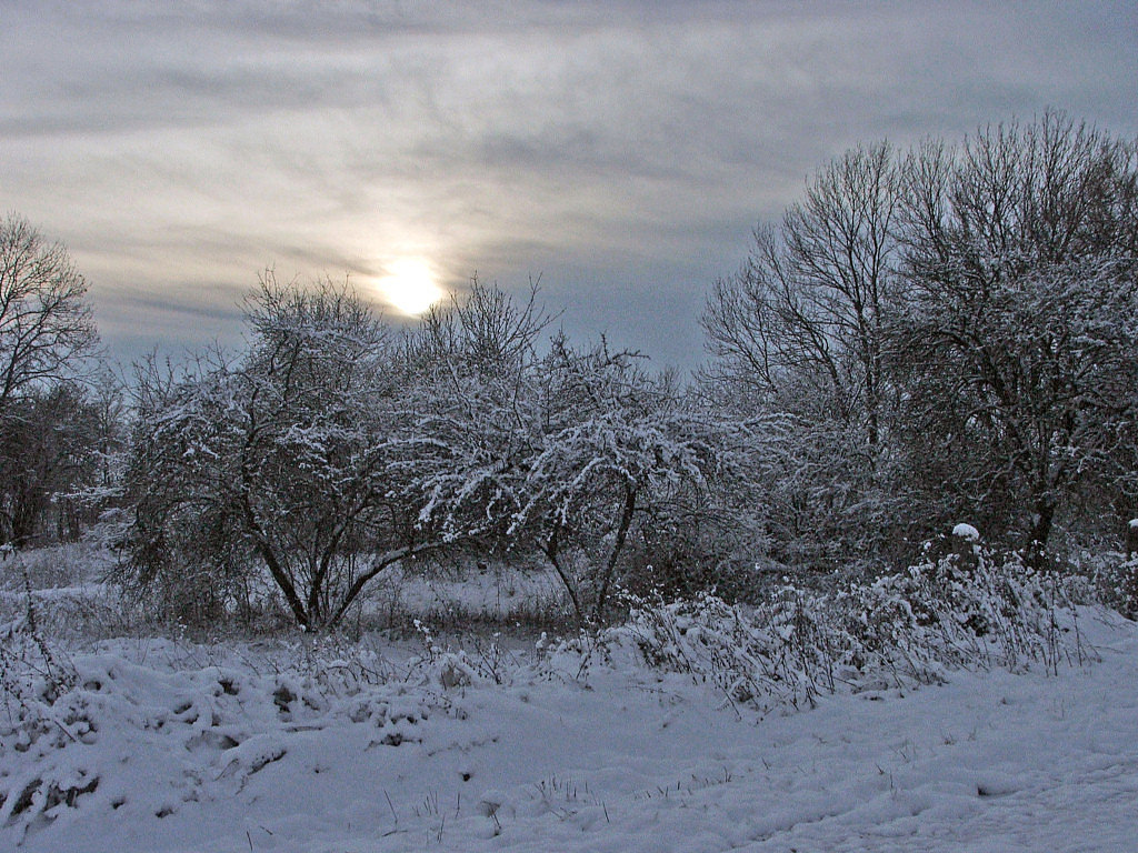 Fonds d'cran Nature Saisons - Hiver Saison d'hiver