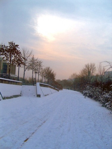 Wallpapers Trips : Europ France > Rhne-Alpes Les Berges du Rhne.