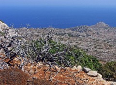 Wallpapers Trips : Europ Ile de Karpathos (Grce)