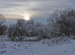 Fonds d'cran Nature Saison d'hiver