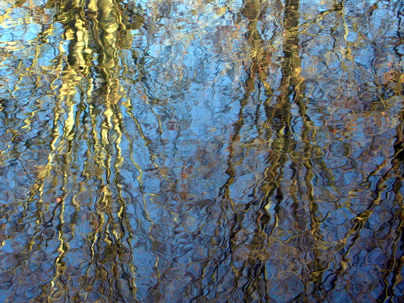 Wallpapers Nature Water - Reflection Reflets