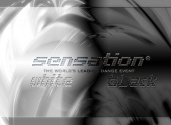 Wallpapers Digital Art Sensation White vs. Black