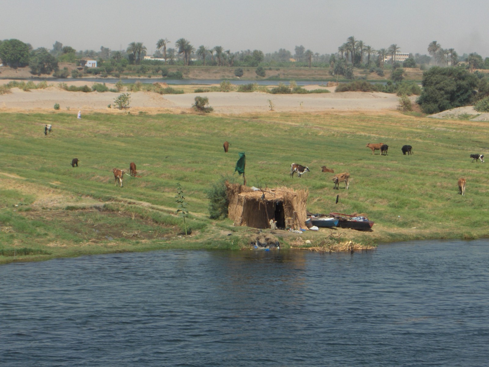 Fonds d'cran Voyages : Afrique Egypte Au long du fleuve ...