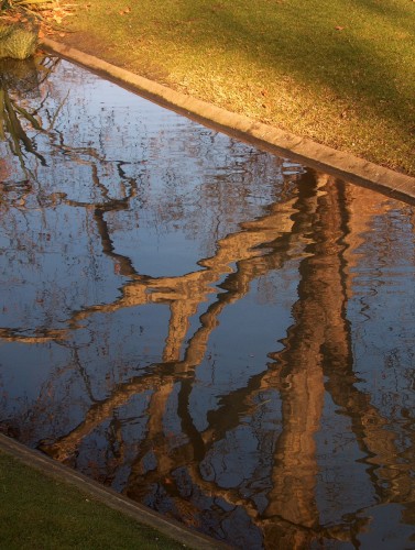 Wallpapers Nature Water - Reflection Refet dans le square des Batignoles