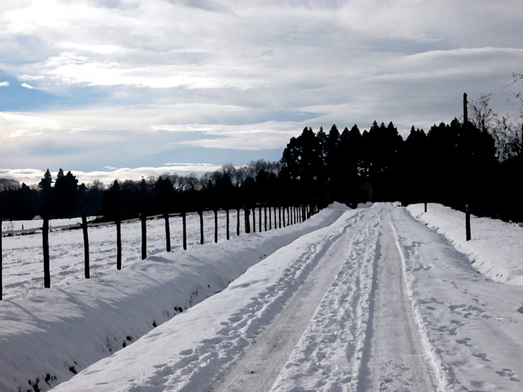 Wallpapers Nature Saisons - Winter Hiver