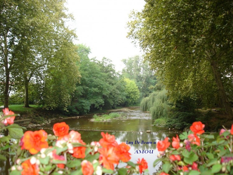 Wallpapers Nature Rivers - Torrents Luy de Bearn a Amou . (Landes