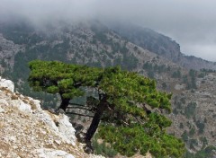 Wallpapers Trips : Europ Ile de Karpathos (Grce)