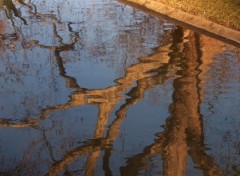 Wallpapers Nature Refet dans le square des Batignoles