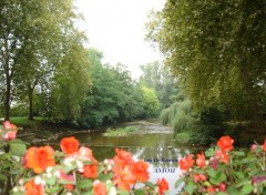 Wallpapers Nature Luy de Bearn a Amou . (Landes