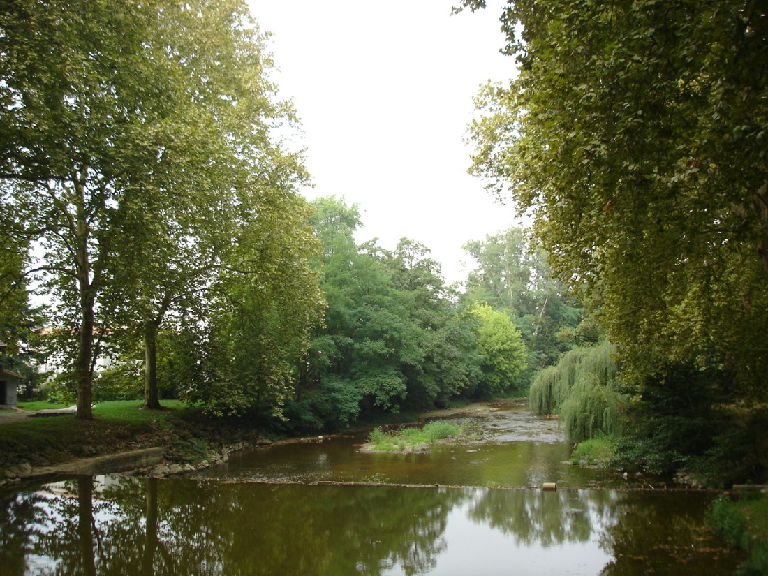 Wallpapers Nature Rivers - Torrents reflets d'eau . (landes )