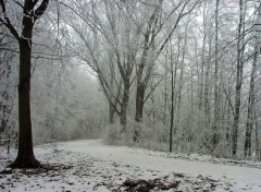 Fonds d'cran Nature Saison du givre