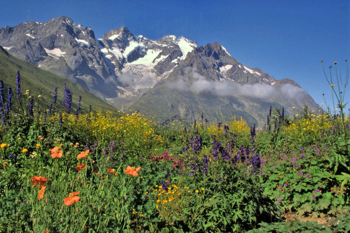 Fonds d'cran Nature Montagnes Les Ecrins