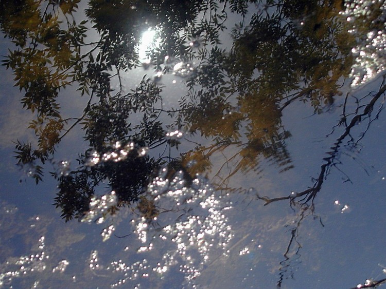 Wallpapers Nature Water - Reflection Reflets