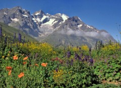 Wallpapers Nature Les Ecrins