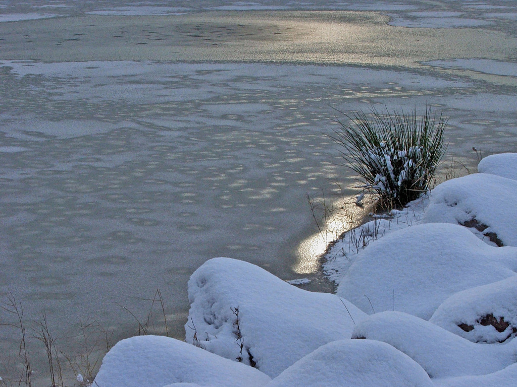 Fonds d'cran Nature Saisons - Hiver Saison du gel