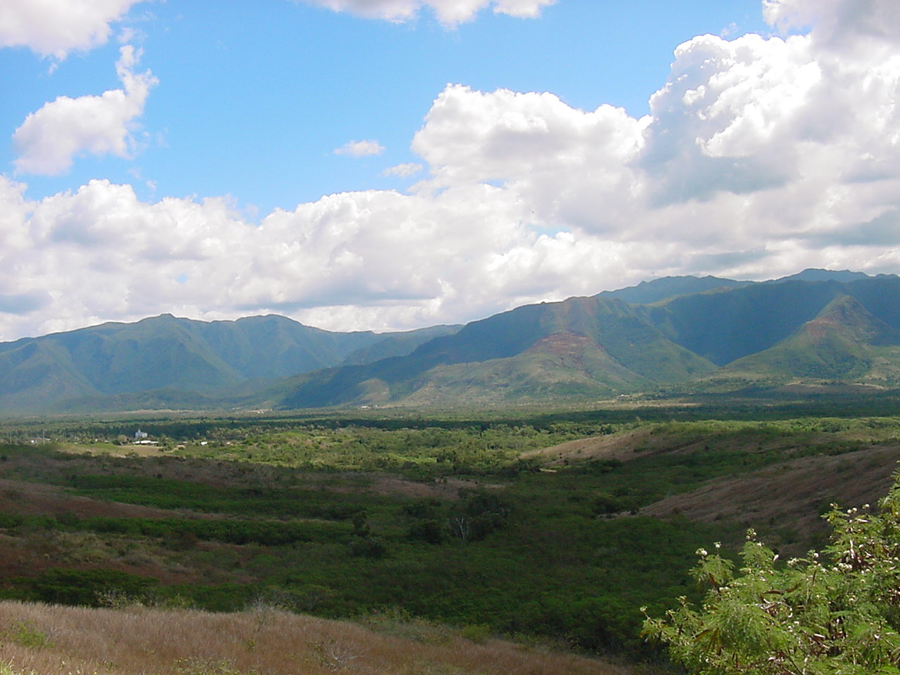 Wallpapers Trips : Oceania New Caledonia En brousse, entre Bourail et Bouirou